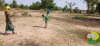 act piquetage waza ngniwa 8